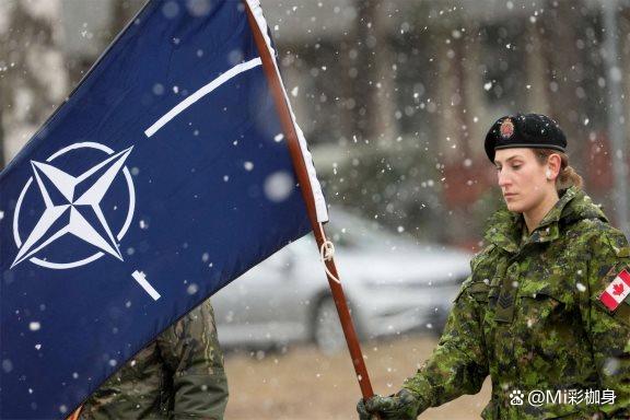 九游在线登录-纷争激烈，各队积极备战展现自身实力的简单介绍